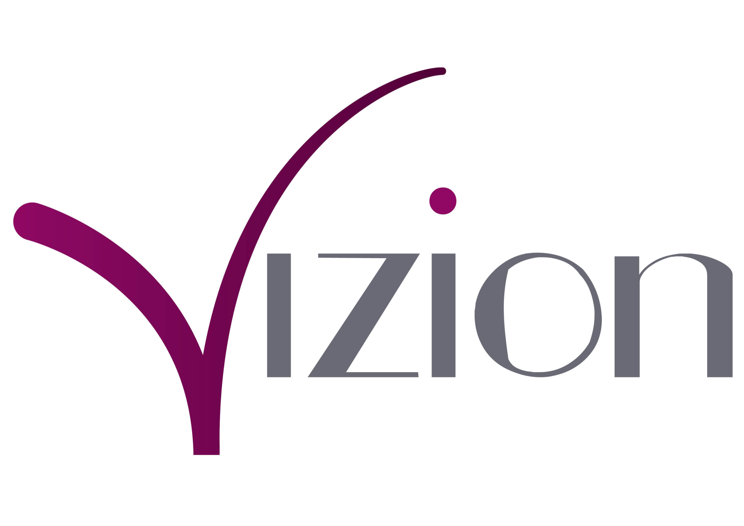 Vizion Logo